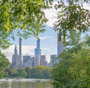 Central Park The Lake