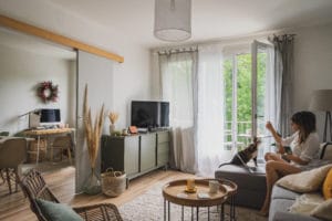 Décoration salon table basse canapé