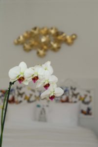 Maison d'Hôtes Bordeaux